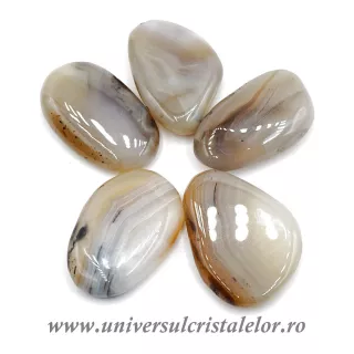 Agat dendritic polisat m12