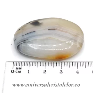 Agat dendritic polisat m12