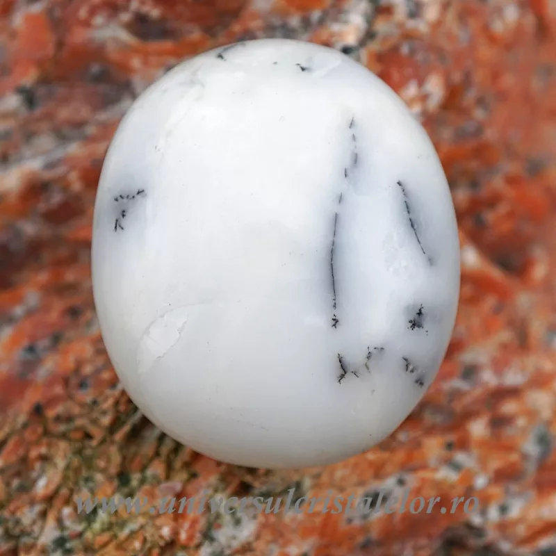 Agat dendritic polisat