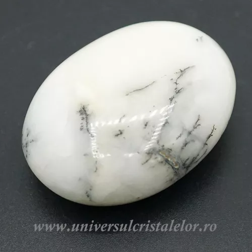 Agat dendritic polisat unicat m01