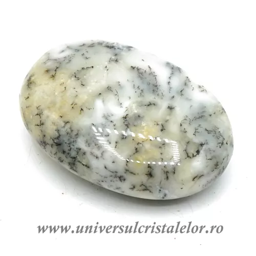 Agat dendritic polisat unicat m04