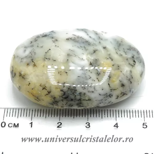 Agat dendritic polisat unicat m04