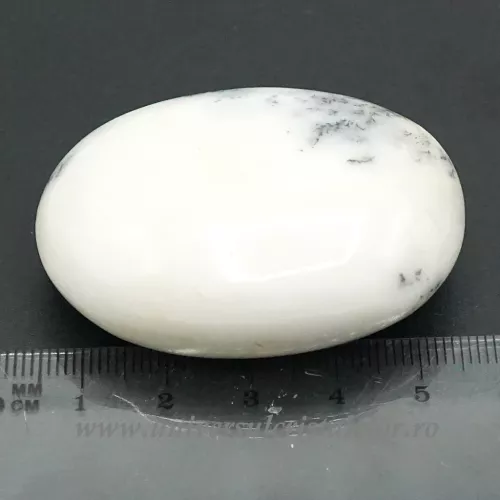 Agat dendritic polisat unicat m07