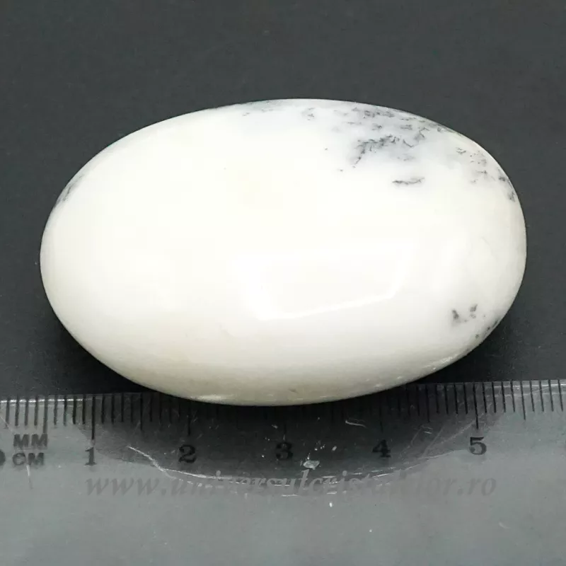 Agat dendritic polisat