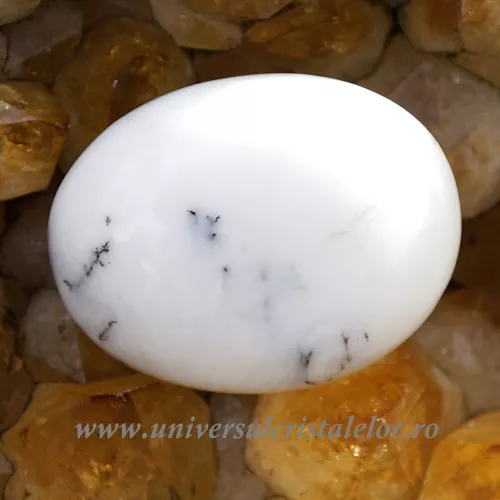 Agat dendritic polisat unicat m08