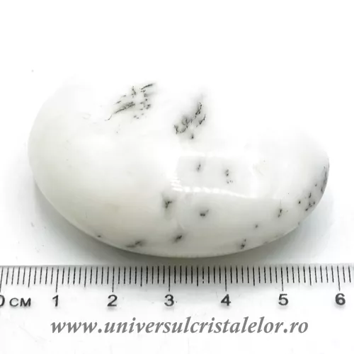 Agat dendritic polisat unicat m08