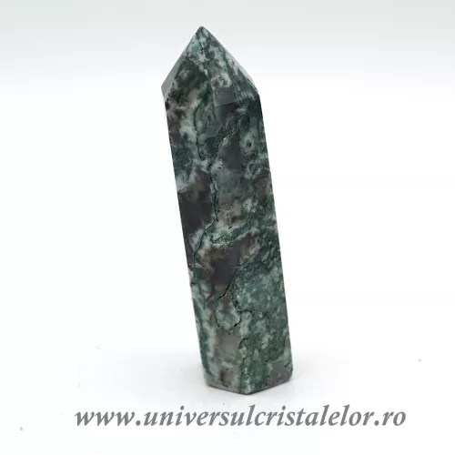 Agat muschi varf cu baza m2