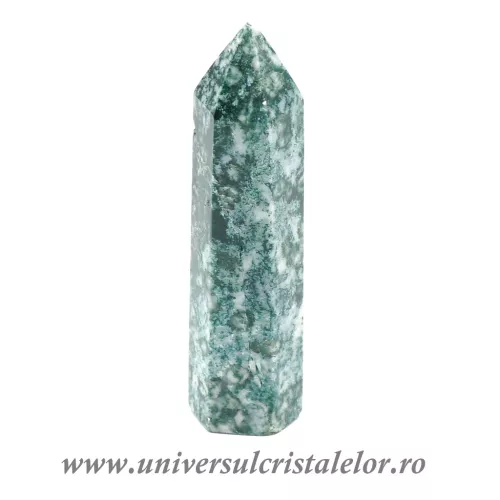 Agat muschi varf cu baza m2 Agat muschi varf cu baza m2