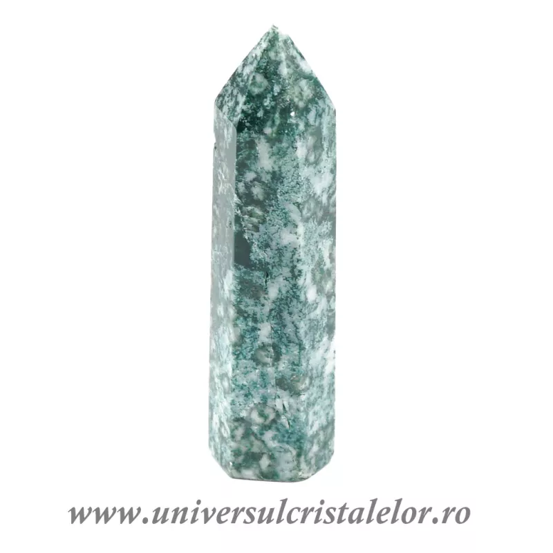 Agat muschi varf cu baza m2