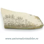 Ardezie jurasica Ardezie jurasica