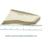 Ardezie jurasica Ardezie jurasica