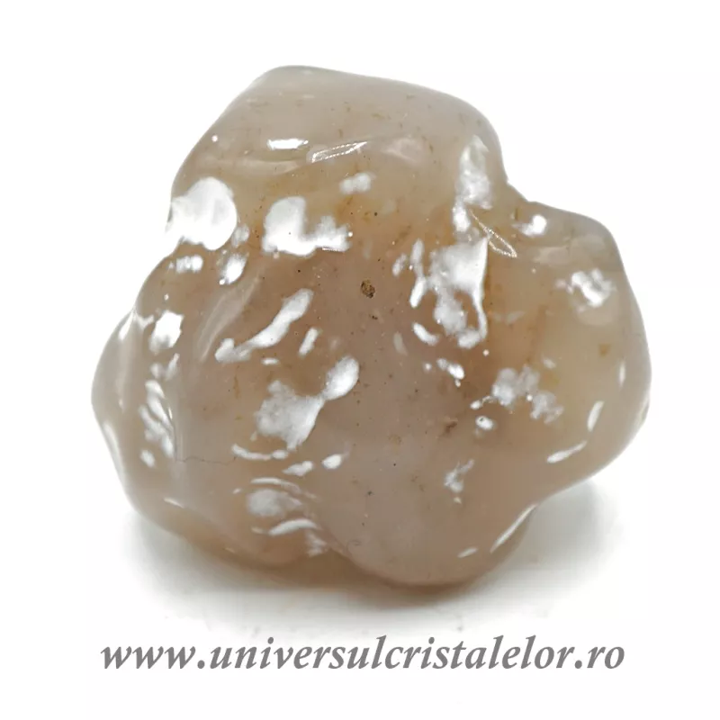 Agat piele de sarpe unicat m05