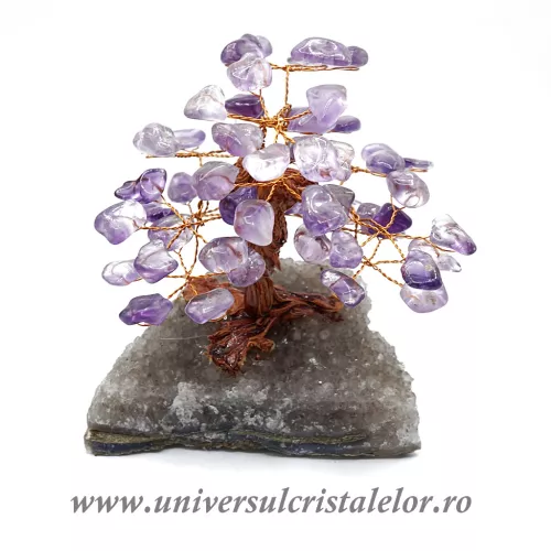 Pom ametist unicat m3