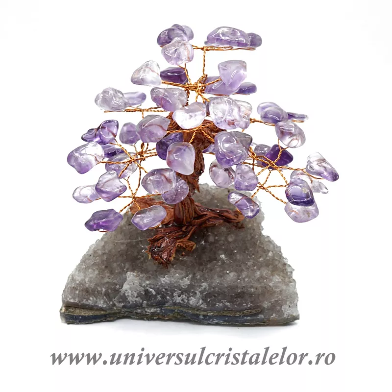 Pom ametist unicat m3