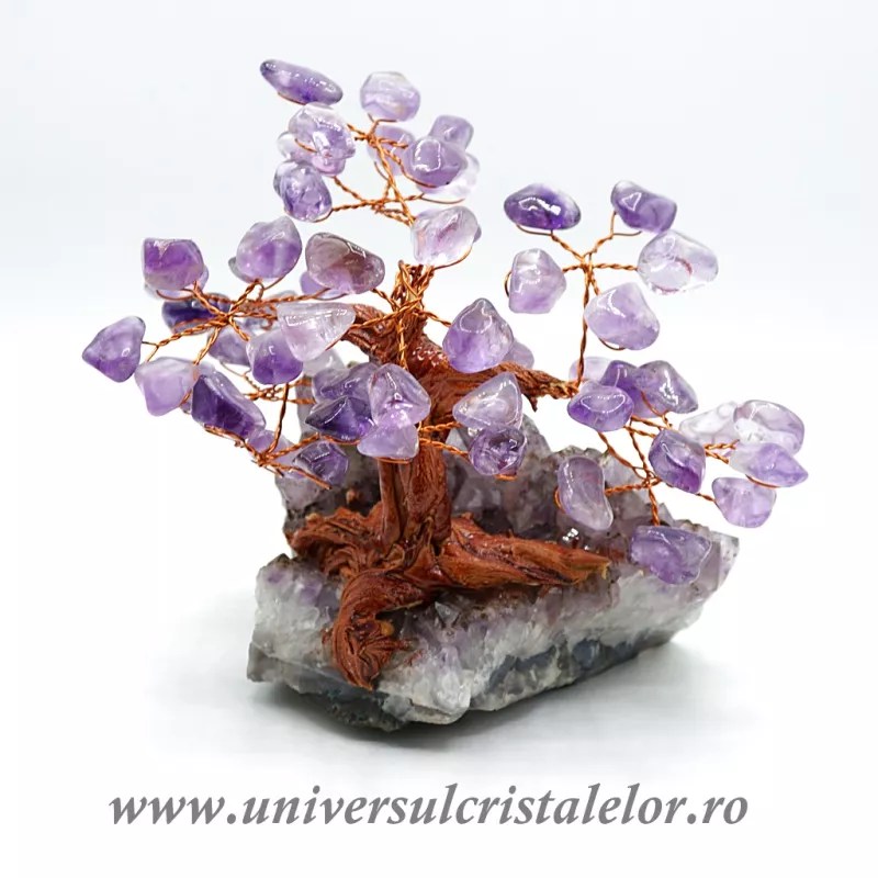 Pom ametist unicat m1