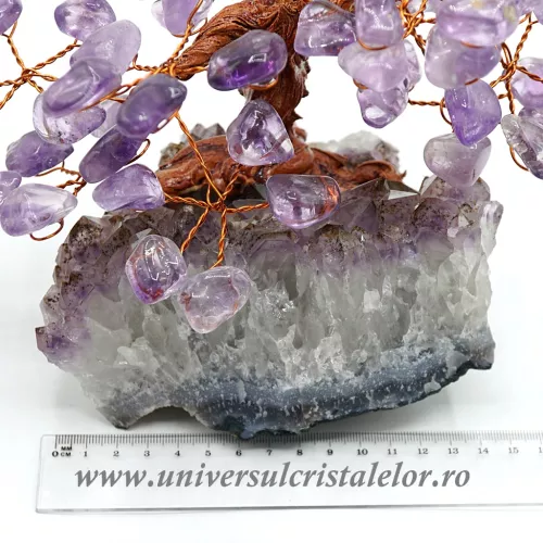 Pom ametist unicat m1