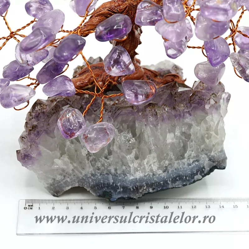 Pom ametist unicat m1