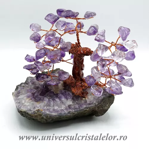 Pom ametist unicat m2