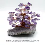 Pom ametist unicat m2