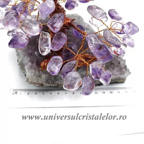 Pom ametist unicat m2