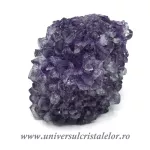 Ametist floare Ametist floare