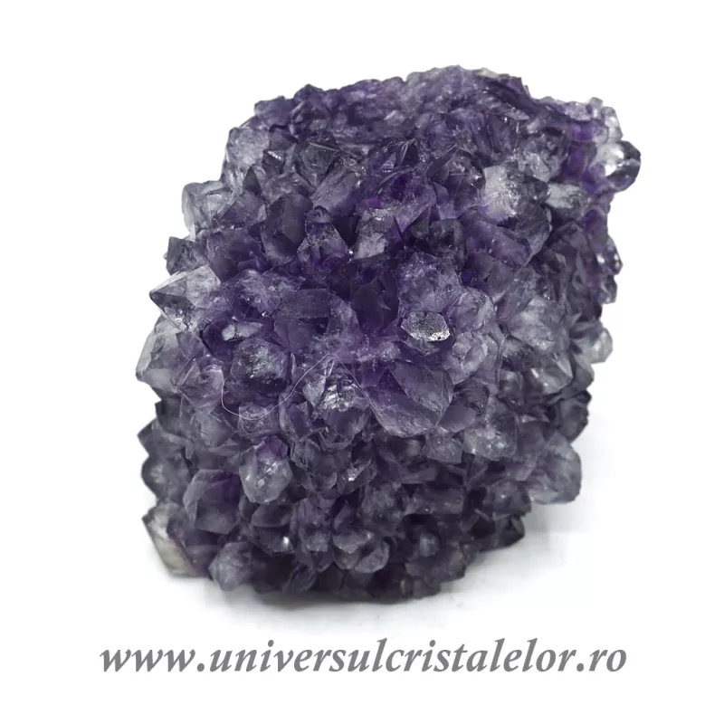 Ametist floare Ametist floare