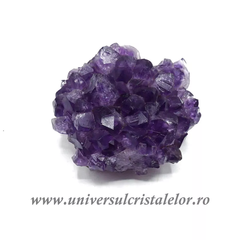 Ametist floare Ametist floare