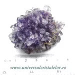 Ametist floare Ametist floare