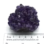 Ametist floare Ametist floare