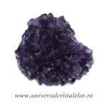 Ametist floare Ametist floare