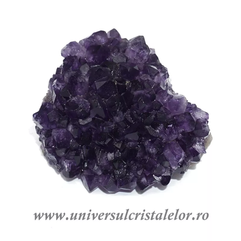 Ametist floare Ametist floare