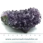 Ametist floare Ametist floare