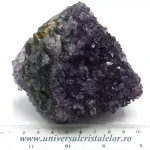 Ametist floare Ametist floare