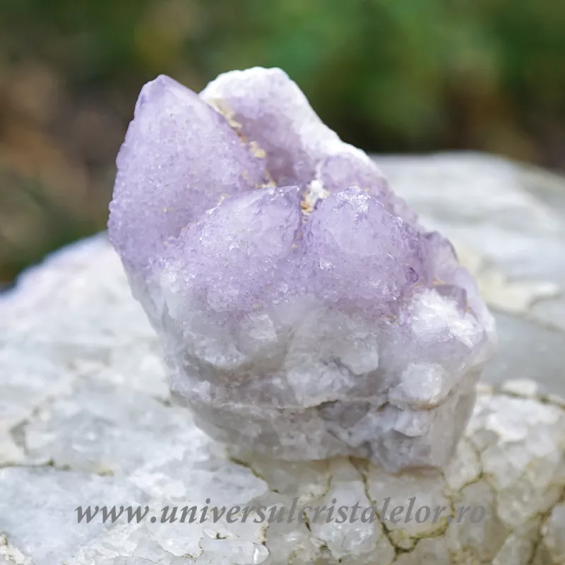 Ametist cactus ( cuart spirit )