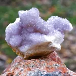 Ametist cactus ( cuart spirit )