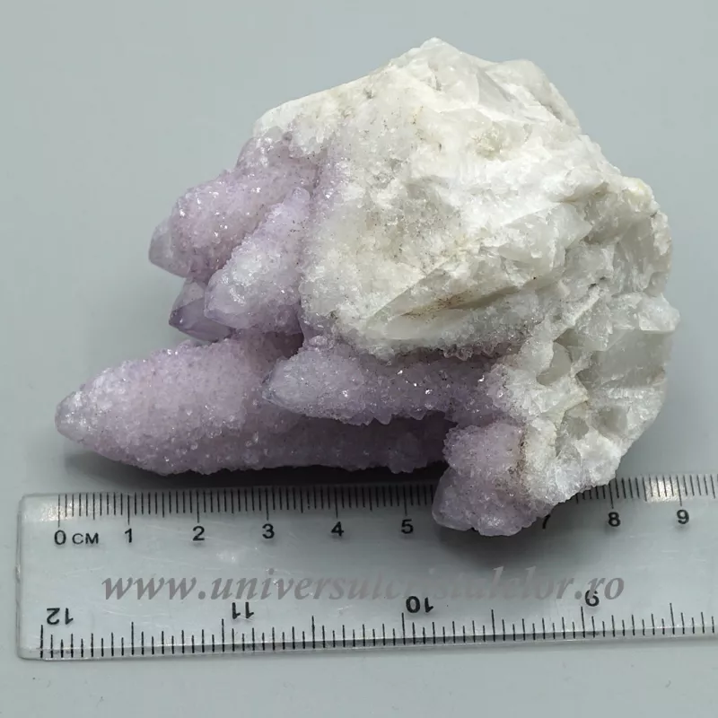 Ametist cactus ( cuart spirit )