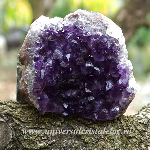 Ametist cu baza mineral unicat m49 Ametist cu baza mineral unicat m49