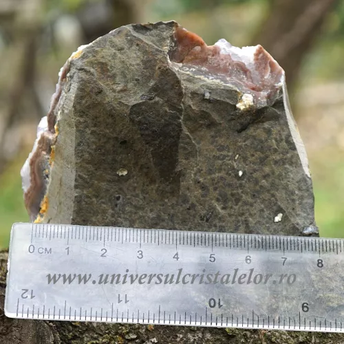 Ametist cu baza mineral unicat m49 Ametist cu baza mineral unicat m49