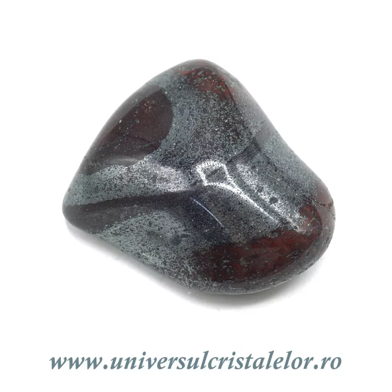 Ancestralit Ancestralit
