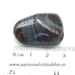 Ancestralit Ancestralit