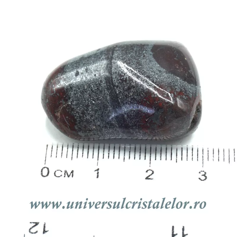 Ancestralit Ancestralit