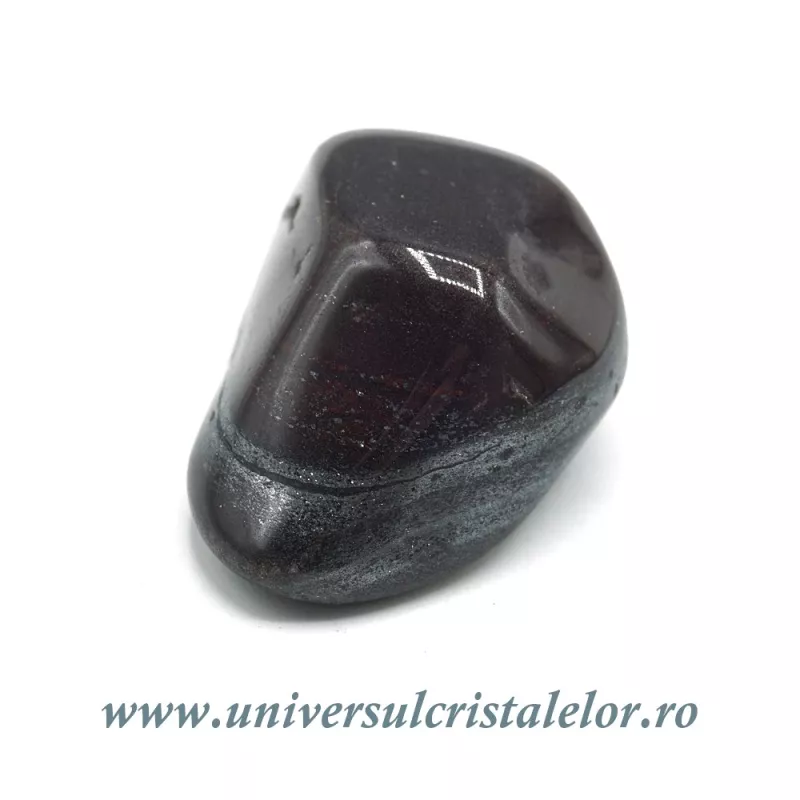 Ancestralit Ancestralit