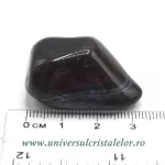 Ancestralit Ancestralit