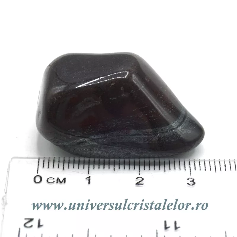 Ancestralit Ancestralit