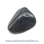 Ancestralit Ancestralit