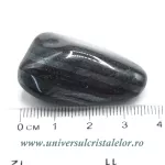 Ancestralit Ancestralit