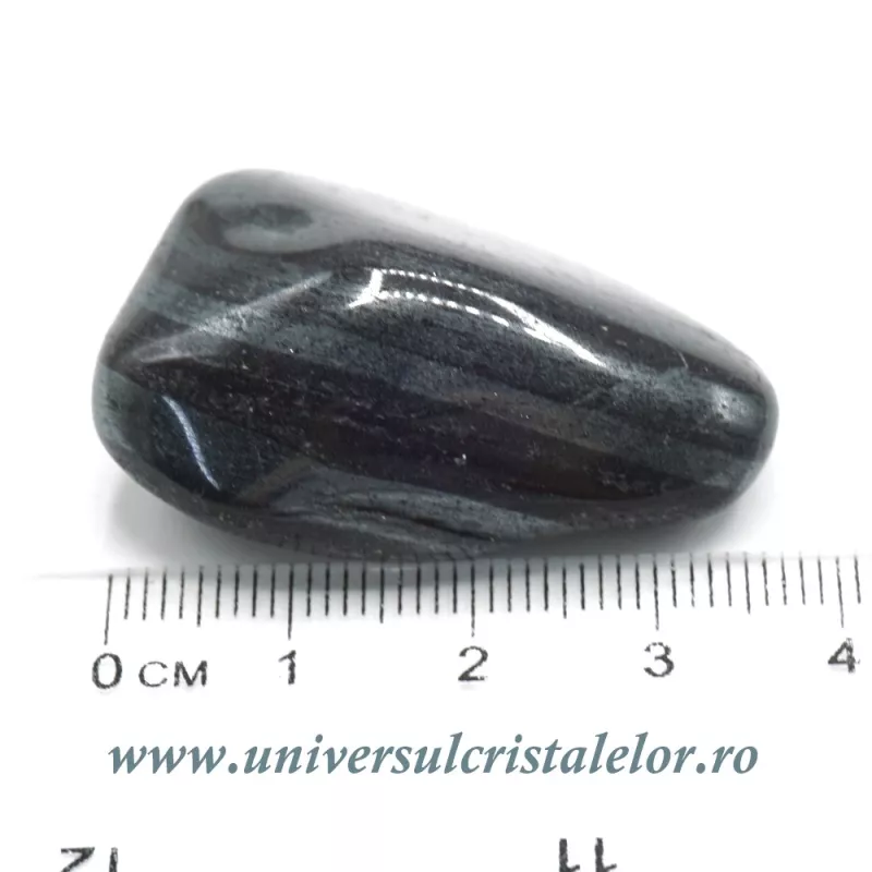 Ancestralit Ancestralit