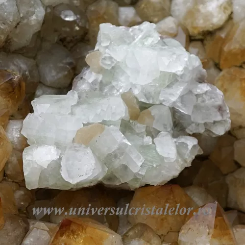 Apofilit cluster mineral unicat