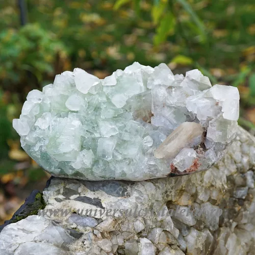 Apofilit verde unicat m08