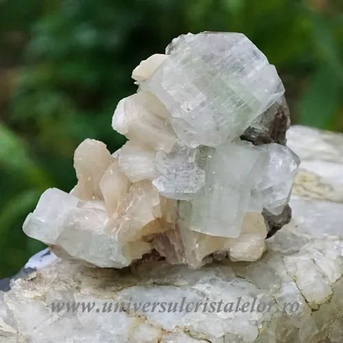 Apofilit verde unicat m08